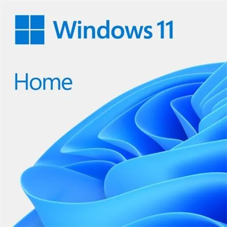 Windows 11 Home - Licence - 1 licence - OEM - DVD - 64 bitů - angličtina