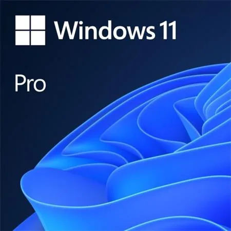 Windows 11 Pro - Licence - 1 licence - OEM - DVD - 64 bitů - čeština