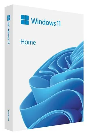 Windows 11 Home - Krabicové balení - 1 licence - flash disk - 64 bitů - čeština