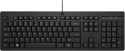 HP 125 G2 - Klávesnice - 100% - full size - USB - česká/slovenská - černá