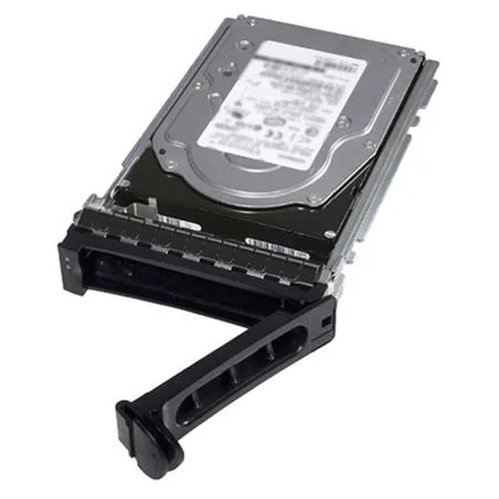 Dell/4TB/HDD/3.5"/SATA/7200 RPM/1R