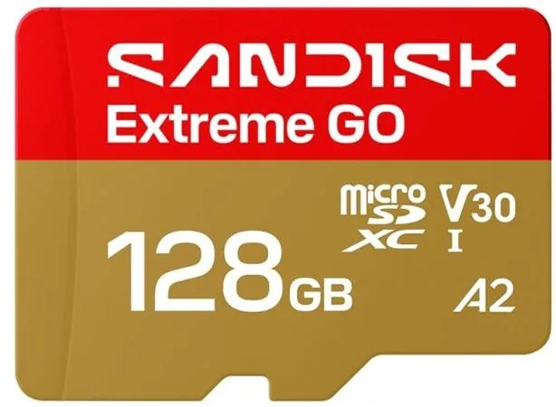 SanDisk Extreme Go - Pametová karta flash - 128 GB - A2 / Video Class V30 / UHS-I U3 - microSDHC UHS-I