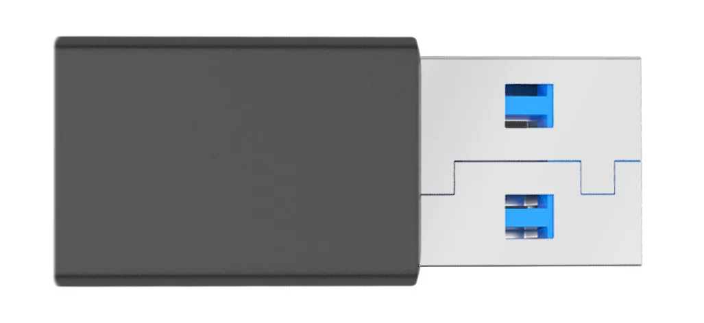 iiyama WP D002C - Adaptér pro streamováná síťová média - stříbrná/černá