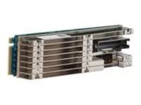 Broadcom MegaRAID 9524-8i - Řadič úložiště (RAID) - 8 Kanál - SATA 6Gb/s / SAS 12Gb/s / PCIe 4.0 (NVMe) - RAID 0, 1, 10, 00 - PCIe 4.0 x8